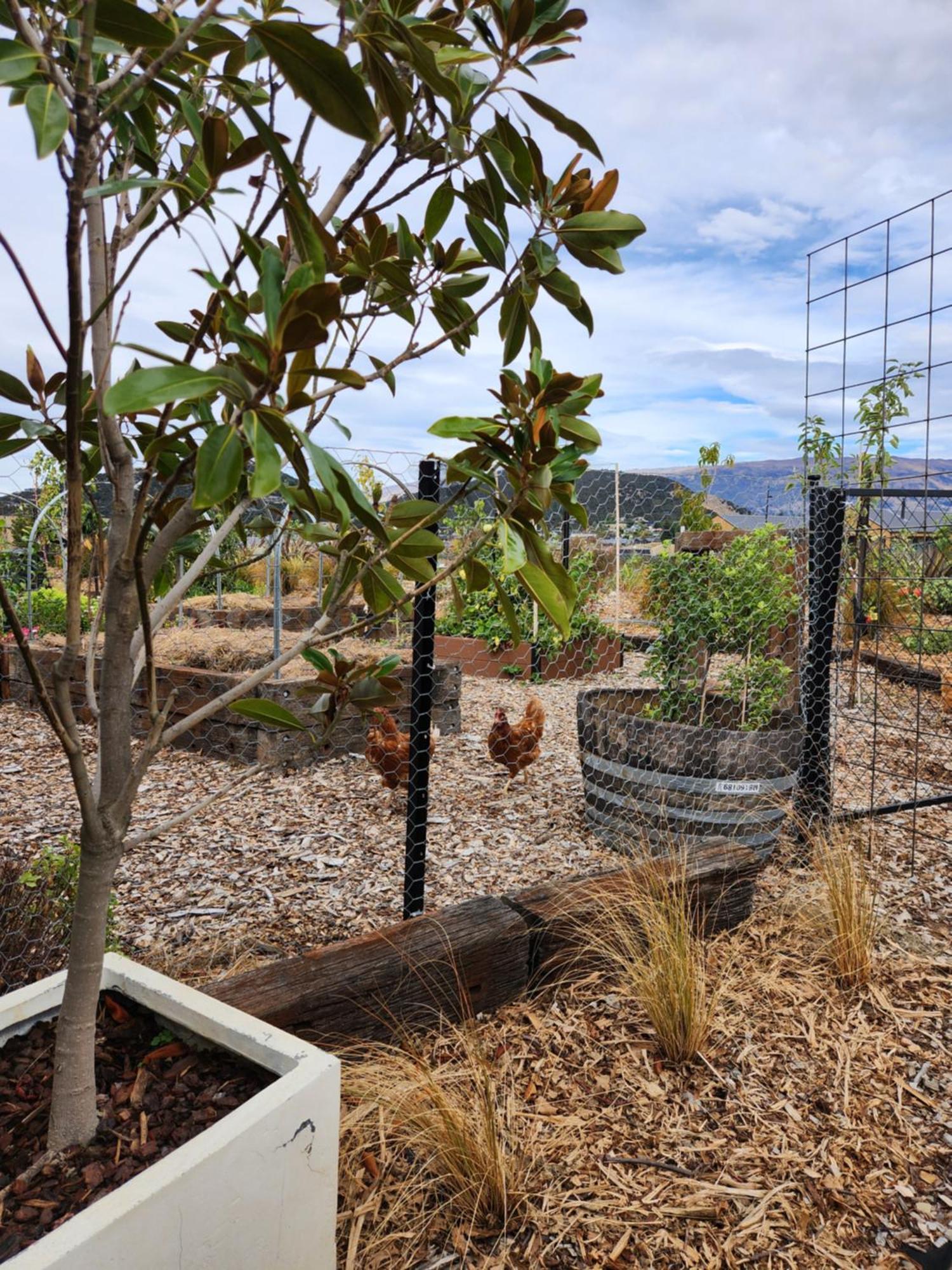 Escape To Riverslea Wanaka Ngoại thất bức ảnh